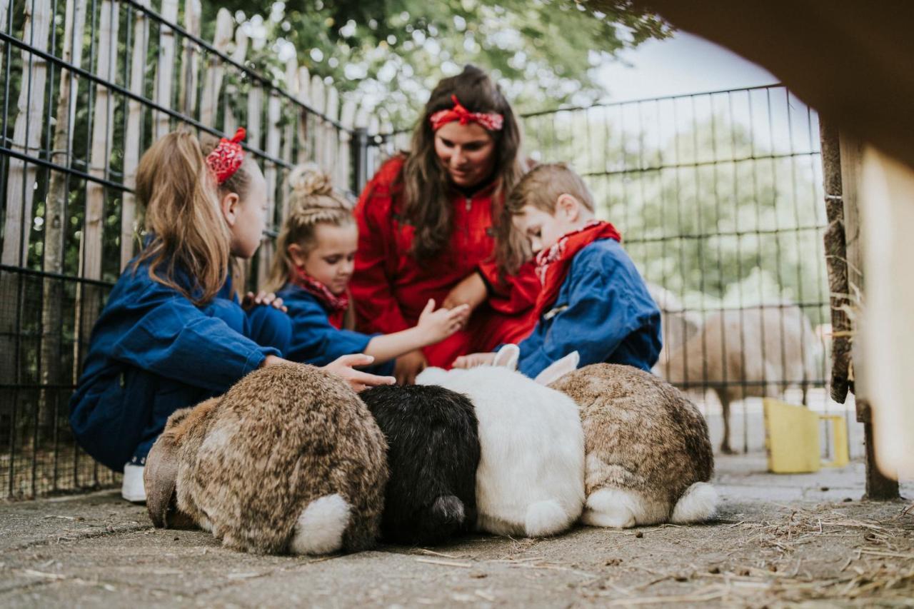 Vakantiepark Dierenbos Vinkel 外观 照片